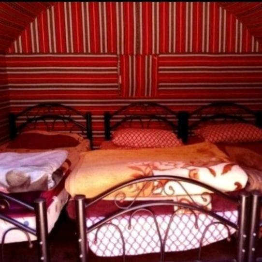 Hotel Bedouin Family Camp Wadi Rum Exterior foto